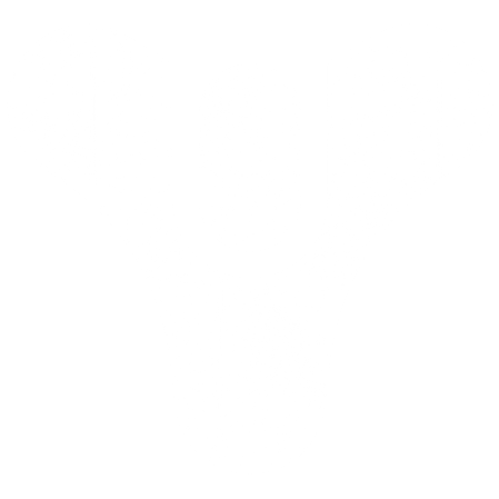 Destiny